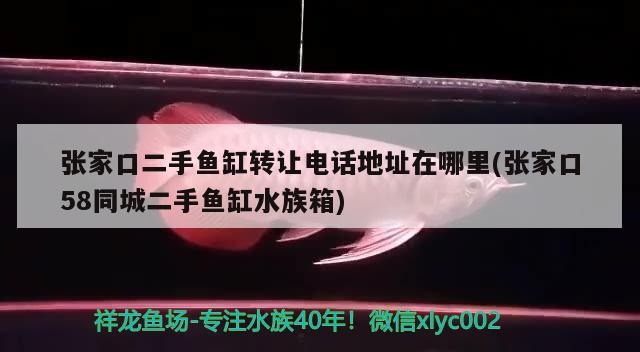 张家口二手鱼缸转让电话地址在哪里(张家口58同城二手鱼缸水族箱) 鱼缸/水族箱