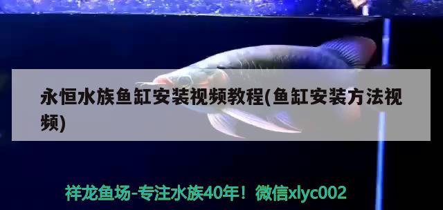 永恒水族鱼缸安装视频教程(鱼缸安装方法视频)