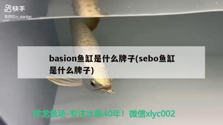 basion鱼缸是什么牌子(sebo鱼缸是什么牌子) 巴西亚鱼