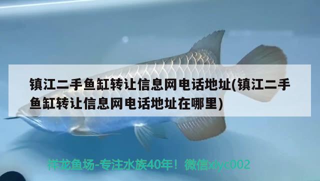 镇江二手鱼缸转让信息网电话地址(镇江二手鱼缸转让信息网电话地址在哪里)