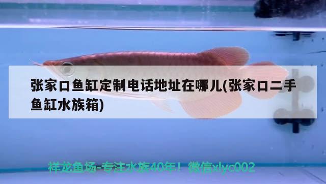 张家口鱼缸定制电话地址在哪儿(张家口二手鱼缸水族箱) 鱼缸/水族箱