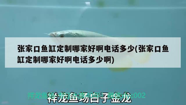 张家口鱼缸定制哪家好啊电话多少(张家口鱼缸定制哪家好啊电话多少啊) 祥龙龙鱼鱼粮