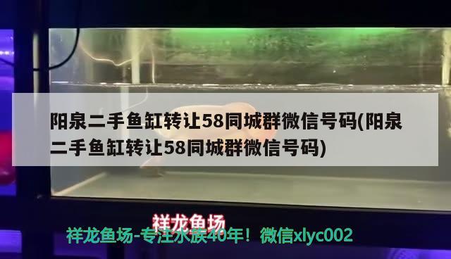 阳泉二手鱼缸转让58同城群微信号码(阳泉二手鱼缸转让58同城群微信号码)