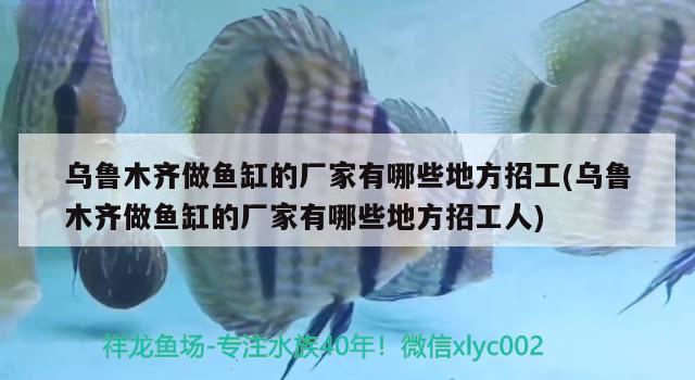 乌鲁木齐做鱼缸的厂家有哪些地方招工(乌鲁木齐做鱼缸的厂家有哪些地方招工人) 观赏鱼鱼苗