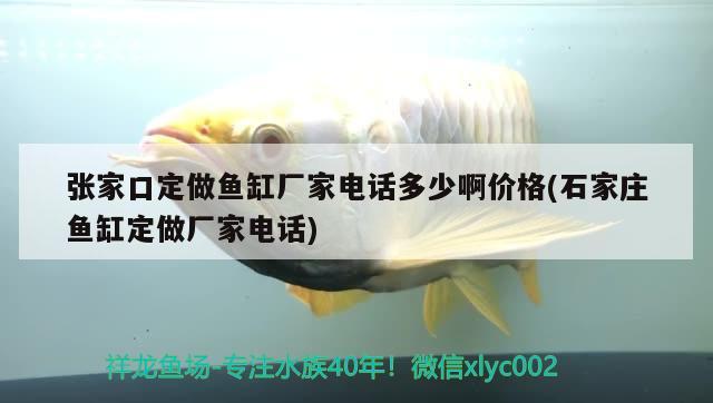 张家口定做鱼缸厂家电话多少啊价格(石家庄鱼缸定做厂家电话) 萨伊蓝鱼