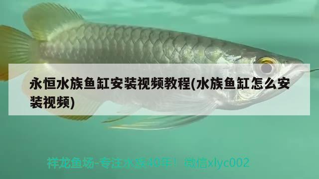 永恒水族鱼缸安装视频教程(水族鱼缸怎么安装视频)