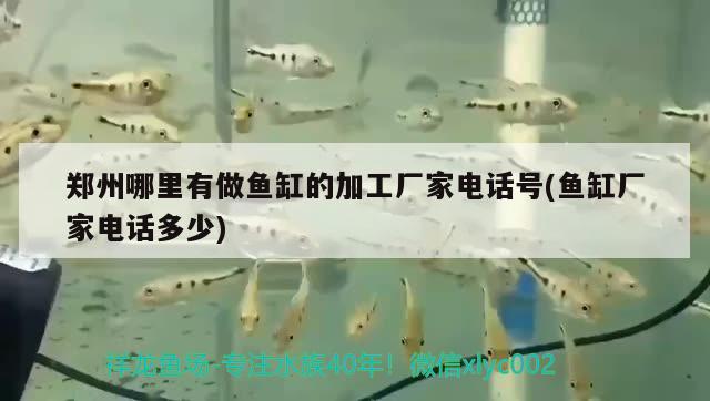 郑州哪里有做鱼缸的加工厂家电话号(鱼缸厂家电话多少)