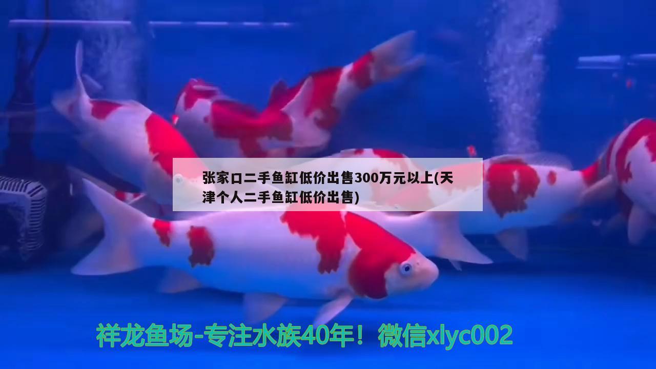 张家口二手鱼缸低价出售300万元以上(天津个人二手鱼缸低价出售) 斑马鸭嘴鱼苗