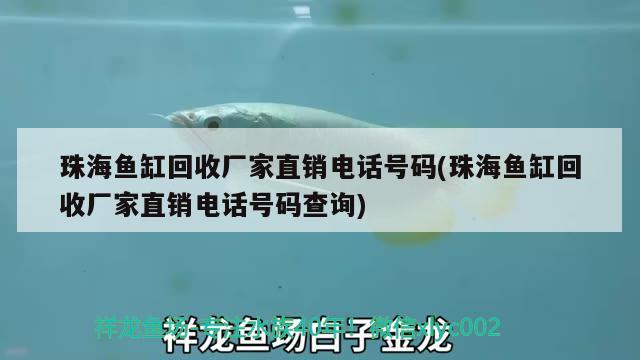 珠海鱼缸回收厂家直销电话号码(珠海鱼缸回收厂家直销电话号码查询) 红龙福龙鱼