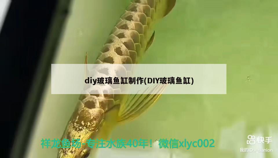 diy玻璃鱼缸制作(DIY玻璃鱼缸)