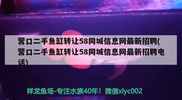 营口二手鱼缸转让58同城信息网最新招聘(营口二手鱼缸转让58同城信息网最新招聘电话)