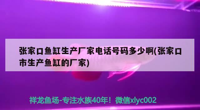 张家口鱼缸生产厂家电话号码多少啊(张家口市生产鱼缸的厂家) 稀有金龙鱼