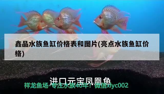 鑫品水族鱼缸价格表和图片(亮点水族鱼缸价格) 印尼虎苗