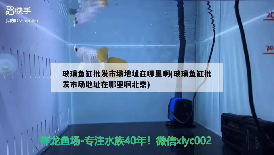 玻璃鱼缸批发市场地址在哪里啊(玻璃鱼缸批发市场地址在哪里啊北京) 红白锦鲤鱼