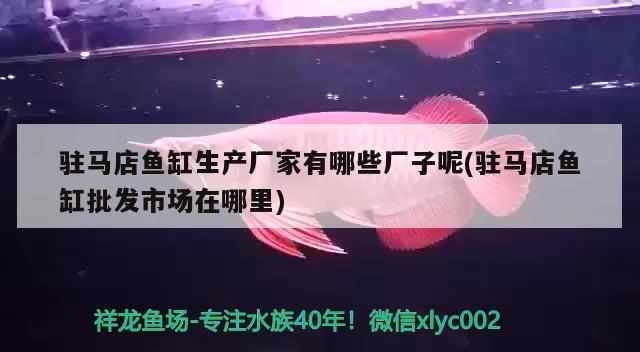 驻马店鱼缸生产厂家有哪些厂子呢(驻马店鱼缸批发市场在哪里) 锦鲤池鱼池建设