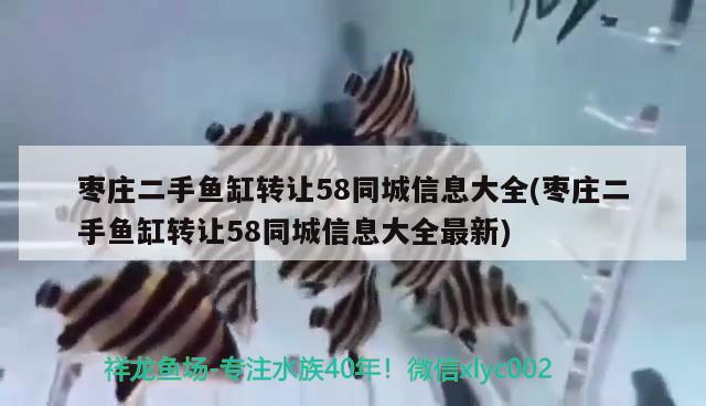 枣庄二手鱼缸转让58同城信息大全(枣庄二手鱼缸转让58同城信息大全最新)