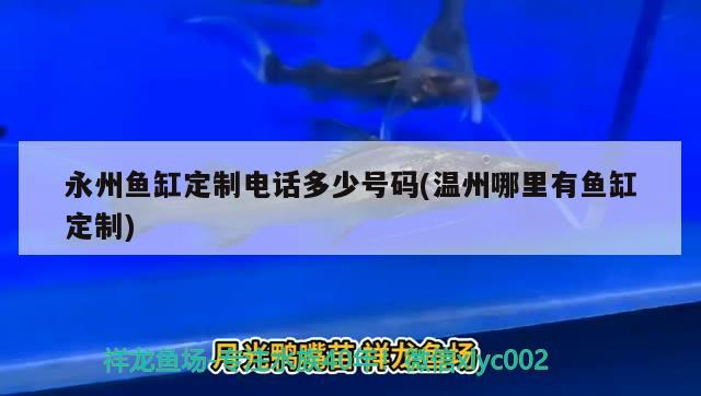 永州鱼缸定制电话多少号码(温州哪里有鱼缸定制) 申古三间鱼