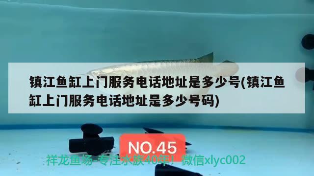 镇江鱼缸上门服务电话地址是多少号(镇江鱼缸上门服务电话地址是多少号码) 狗仔招财猫鱼