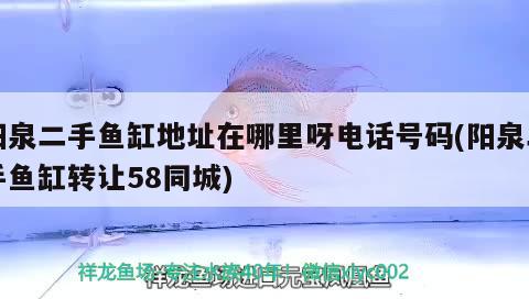 阳泉二手鱼缸地址在哪里呀电话号码(阳泉二手鱼缸转让58同城) 水草