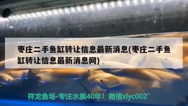 枣庄二手鱼缸转让信息最新消息(枣庄二手鱼缸转让信息最新消息网)