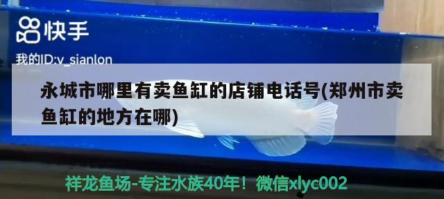 永城市哪里有卖鱼缸的店铺电话号(郑州市卖鱼缸的地方在哪) 财神鹦鹉鱼