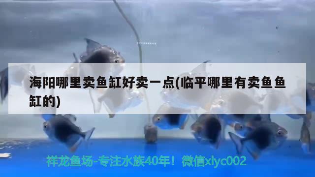 海阳哪里卖鱼缸好卖一点(临平哪里有卖鱼鱼缸的) 水族世界