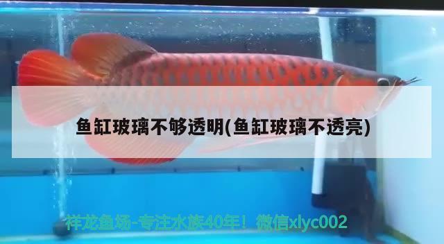 鱼缸玻璃不够透明(鱼缸玻璃不透亮) 鱼缸/水族箱