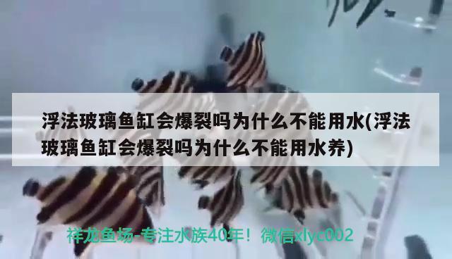 浮法玻璃鱼缸会爆裂吗为什么不能用水(浮法玻璃鱼缸会爆裂吗为什么不能用水养)