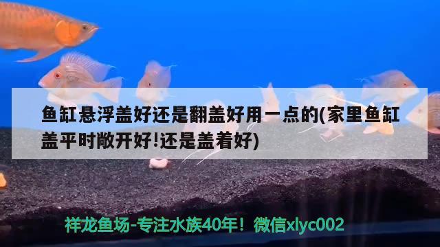 鱼缸悬浮盖好还是翻盖好用一点的(家里鱼缸盖平时敞开好!还是盖着好) 水族品牌