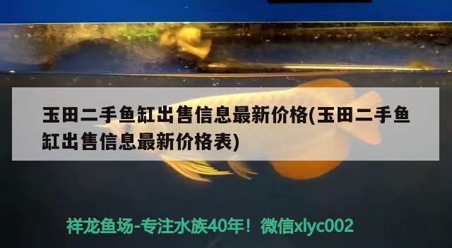 玉田二手鱼缸出售信息最新价格(玉田二手鱼缸出售信息最新价格表) 蝴蝶鲤