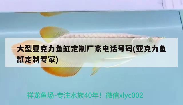 大型亚克力鱼缸定制厂家电话号码(亚克力鱼缸定制专家) 元宝凤凰鱼专用鱼粮