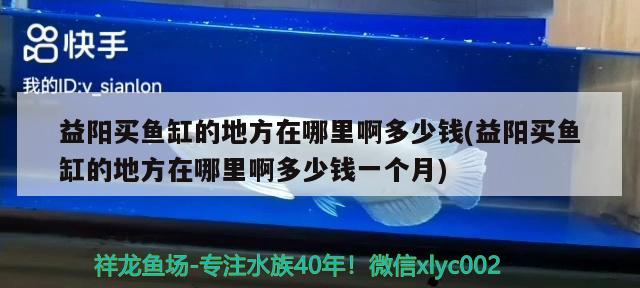 益阳买鱼缸的地方在哪里啊多少钱(益阳买鱼缸的地方在哪里啊多少钱一个月) 水族杂谈