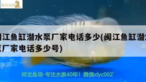 闽江鱼缸潜水泵厂家电话多少(闽江鱼缸潜水泵厂家电话多少号) 魟鱼百科