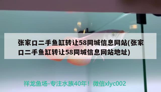 张家口二手鱼缸转让58同城信息网站(张家口二手鱼缸转让58同城信息网站地址) 萨伊蓝鱼