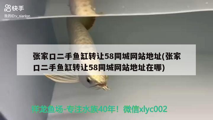 张家口二手鱼缸转让58同城网站地址(张家口二手鱼缸转让58同城网站地址在哪) 造景/装饰