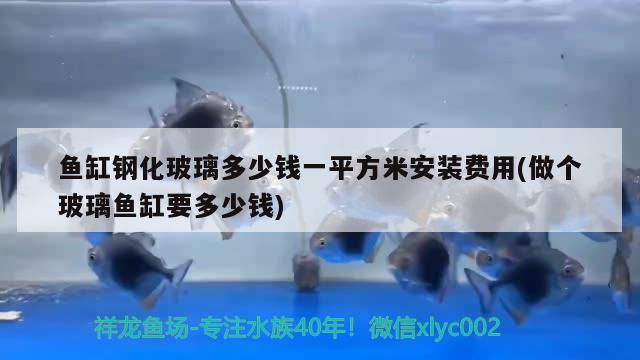 鱼缸钢化玻璃多少钱一平方米安装费用(做个玻璃鱼缸要多少钱) 图腾金龙鱼