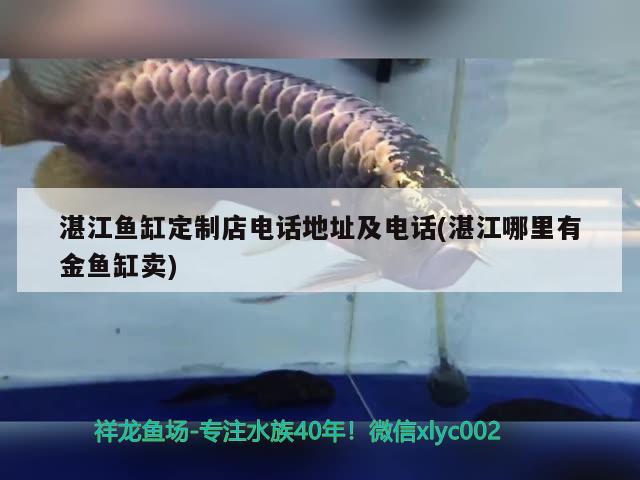 湛江鱼缸定制店电话地址及电话(湛江哪里有金鱼缸卖) 七纹巨鲤鱼