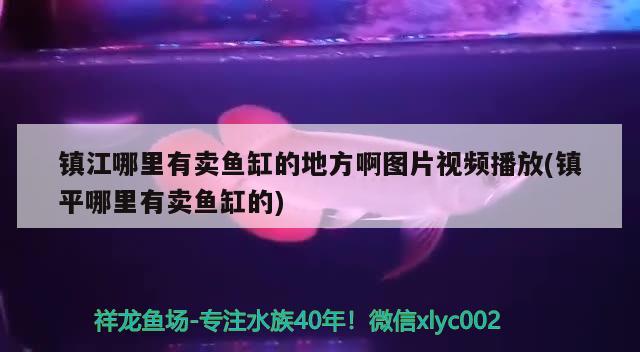 镇江哪里有卖鱼缸的地方啊图片视频播放(镇平哪里有卖鱼缸的) 观赏虾蟹等饲料