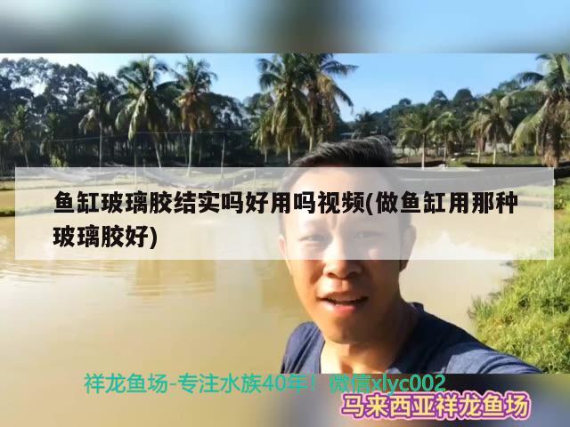 鱼缸玻璃胶结实吗好用吗视频(做鱼缸用那种玻璃胶好) 除藻剂