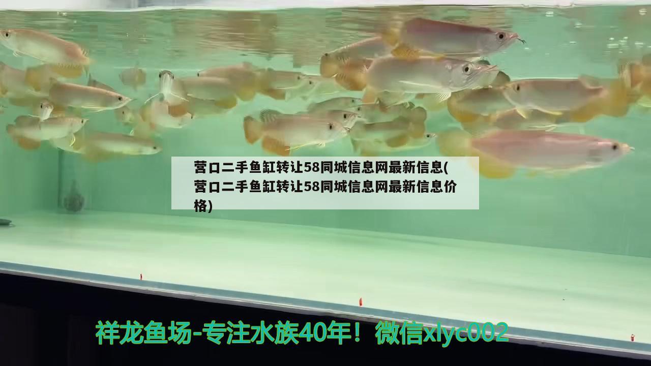 营口二手鱼缸转让58同城信息网最新信息(营口二手鱼缸转让58同城信息网最新信息价格)