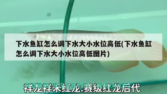 下水鱼缸怎么调下水大小水位高低(下水鱼缸怎么调下水大小水位高低图片) 鱼缸等水族设备