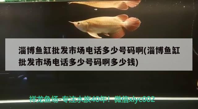 淄博鱼缸批发市场电话多少号码啊(淄博鱼缸批发市场电话多少号码啊多少钱)