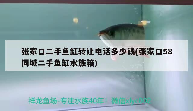 张家口二手鱼缸转让电话多少钱(张家口58同城二手鱼缸水族箱) 鱼缸/水族箱