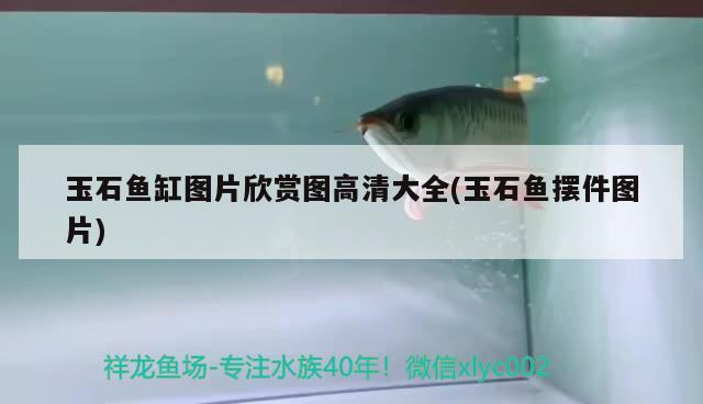 玉石鱼缸图片欣赏图高清大全(玉石鱼摆件图片) 虎鱼鱼苗