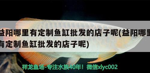 益阳哪里有定制鱼缸批发的店子呢(益阳哪里有定制鱼缸批发的店子呢)