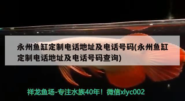 永州鱼缸定制电话地址及电话号码(永州鱼缸定制电话地址及电话号码查询)