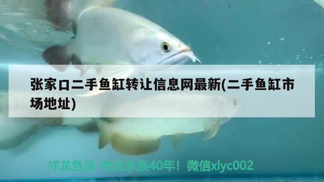 张家口二手鱼缸转让信息网最新(二手鱼缸市场地址) 定时器/自控系统