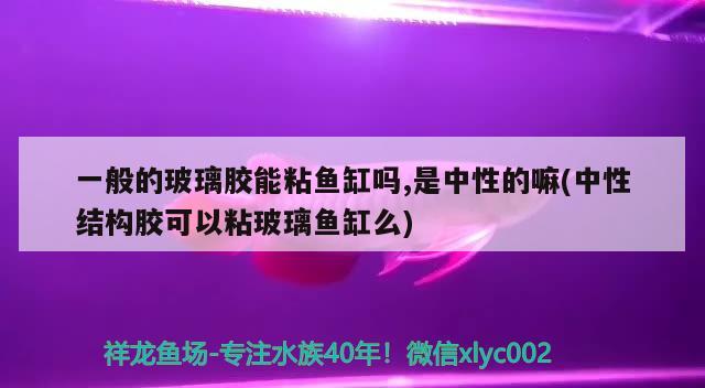 一般的玻璃胶能粘鱼缸吗,是中性的嘛(中性结构胶可以粘玻璃鱼缸么)