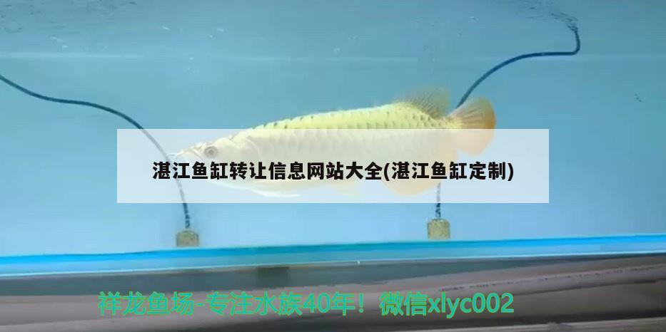 湛江鱼缸转让信息网站大全(湛江鱼缸定制)