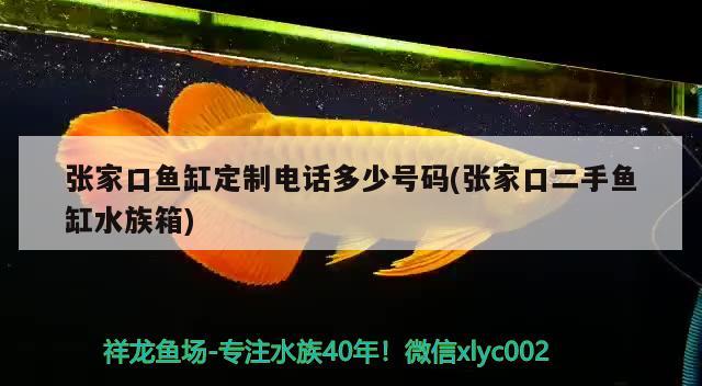 张家口鱼缸定制电话多少号码(张家口二手鱼缸水族箱) 鱼缸/水族箱 第1张